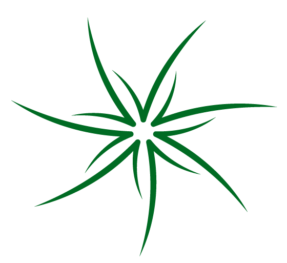 America Counts logo mark — starburst only