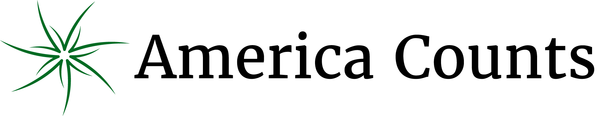 America Counts horizontal logo — starburst mark and wordmark